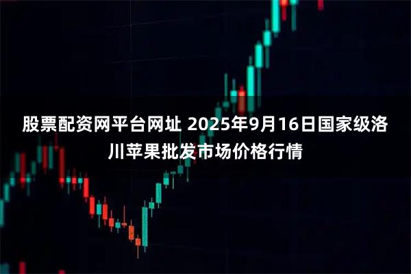 股票配资网平台网址 2025年9月16日国家级洛川苹果批发市场价格行情