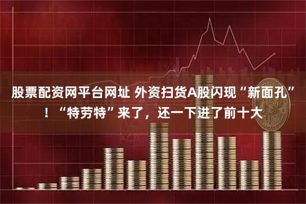 股票配资网平台网址 外资扫货A股闪现“新面孔”！“特劳特”来了，还一下进了前十大
