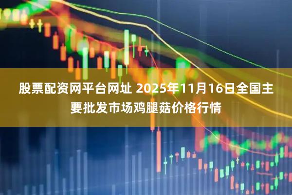 股票配资网平台网址 2025年11月16日全国主要批发市场鸡腿菇价格行情