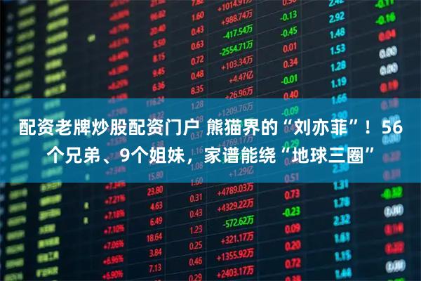 配资老牌炒股配资门户 熊猫界的“刘亦菲”！56个兄弟、9个姐妹，家谱能绕“地球三圈”