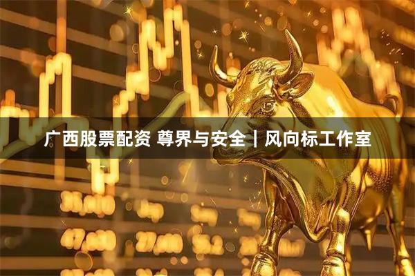广西股票配资 尊界与安全｜风向标工作室